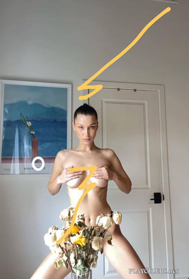 Bella Hadid Nude And See Through Photos  (more…)View On WordPress