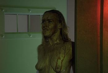 Dominique Swain nude