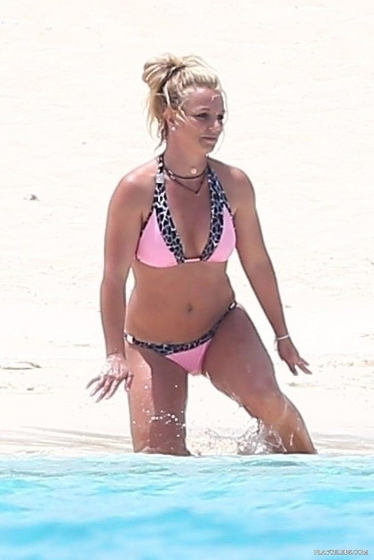Read more about the article Britney Spears Paparazzi Pink Bikini Photos