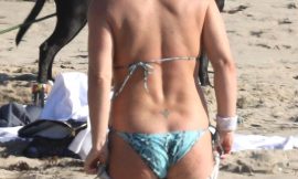 Britney Spears Sexy Doggy Pose In Bikini