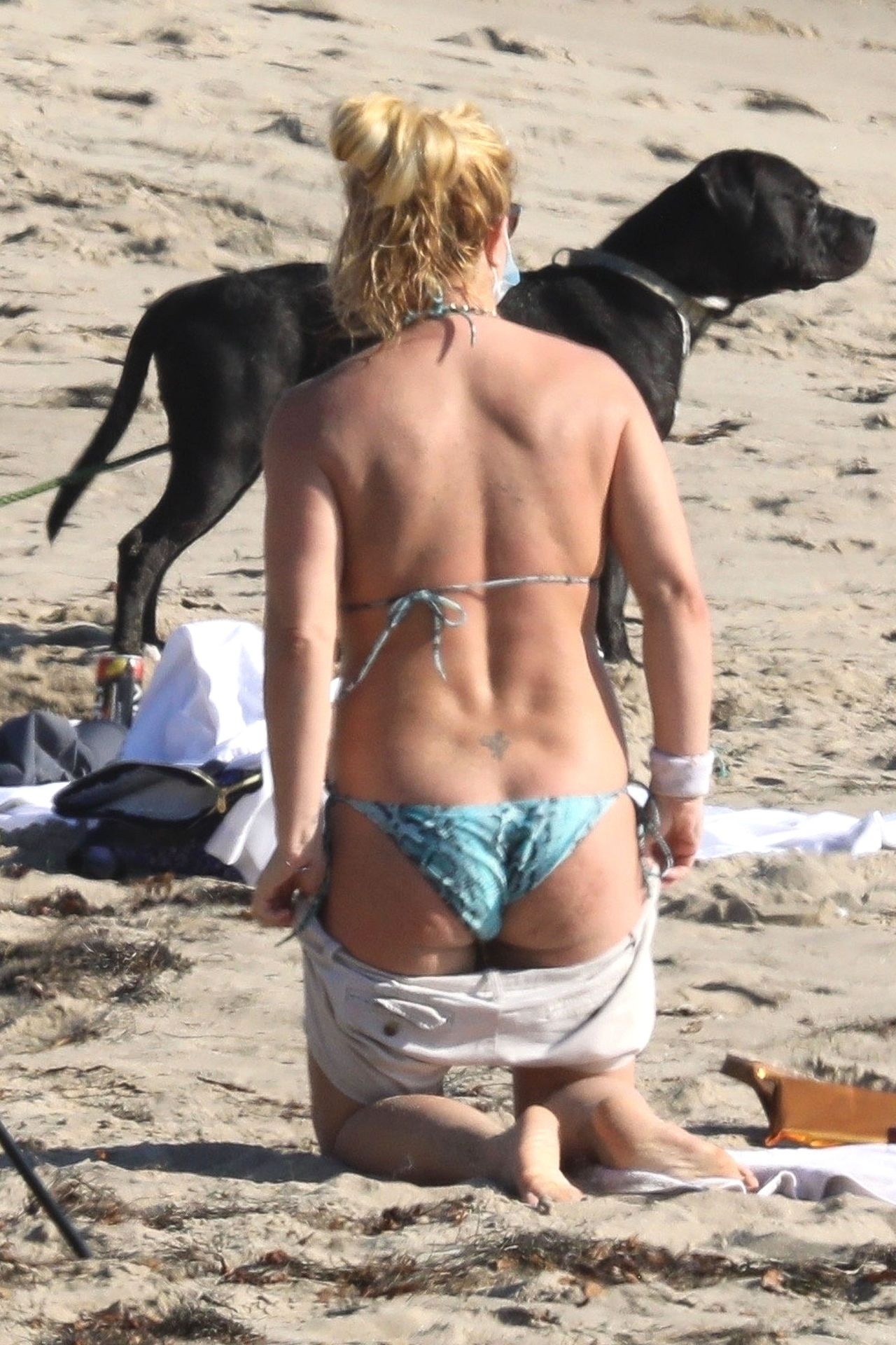 You are currently viewing Britney Spears Sexy Doggy Pose In Bikini