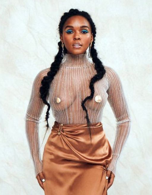 Read more about the article Janelle Monae See Through & Sexy Bikini Pics