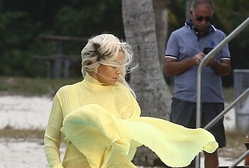 Rita Ora Nude And Upskirt Photos