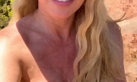 Britney Spears Nude And Transparent Lingerie Selfie Pics